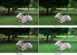 Photography of undefined