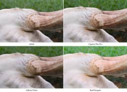 Photography of undefined