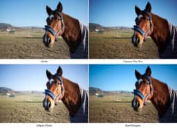 Photography of undefined