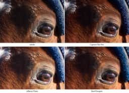 Photography of undefined