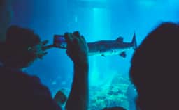 Photography of undefined