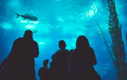 Photography of undefined