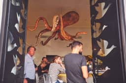 Photography of undefined